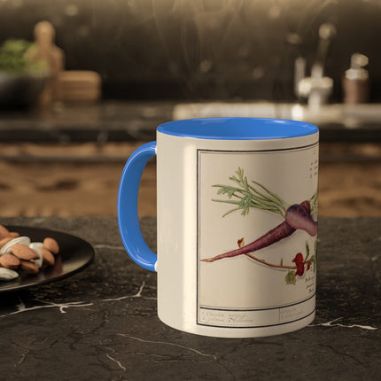 Carrot, Daucus Carota and Red currant, Ribes rubrum by Anselmus Boëtius de Boodt Colorful Mugs, 11oz