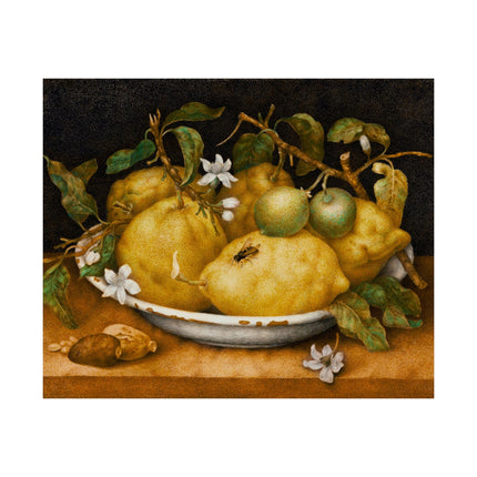 Still Life with Bowl of Citrons by Giovanna Garzoni Matte Horizontal Posters