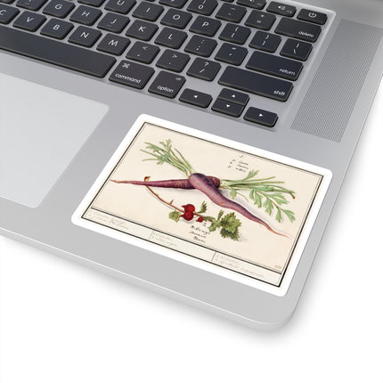 Carrot, Daucus carota and red currant, Ribes rubrum by Anselmus Boëtius de Boodt Kiss-Cut Stickers (4 Sizes)