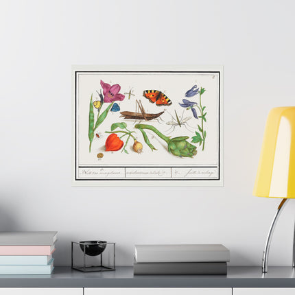 Natural History Ensemble, No. 17 by Anselmus Boëtius de Boodt Matte Horizontal Posters