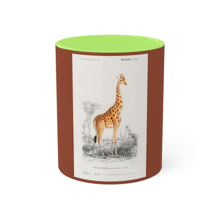 Giraffe by Charles Dessalines D' Orbigny Colorful Mugs, 11oz