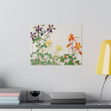 Aquilegia Flower by Tanigami Kônan – Japanese Botanical Art
