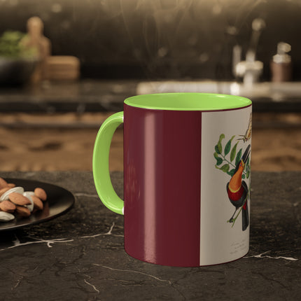 Channel Billed Toucan by Paul Gervais Colorful Mugs, 11oz