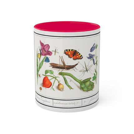 Natural History Ensemble, No. 17 by Anselmus Boëtius de Boodt Colorful Mugs, 11oz