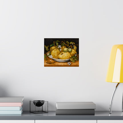 Still Life with Bowl of Citrons by Giovanna Garzoni Matte Horizontal Posters