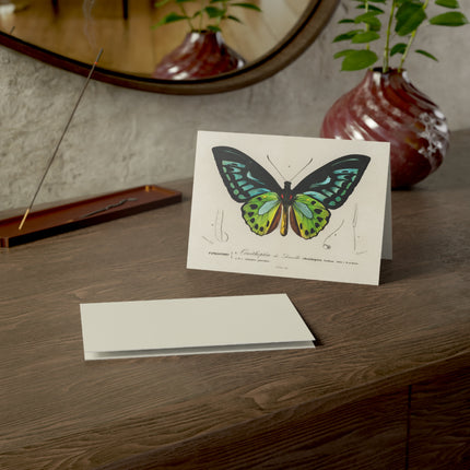 Green Birdwing by Charles Dessalines D' Orbigny Greeting Cards (1, 10, 30, and 50pcs)