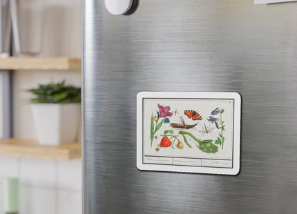 Natural History Ensemble, No. 17 Die-Cut Magnets (5 Sizes)