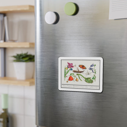 Natural History Ensemble, No. 17 Die-Cut Magnets (5 Sizes)