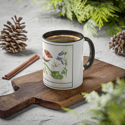 Natural History Ensemble, No. 17 by Anselmus Boëtius de Boodt Colorful Mugs, 11oz