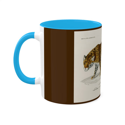 Jaguar by Charles Dessalines D' Orbigny Colorful Mugs, 11oz