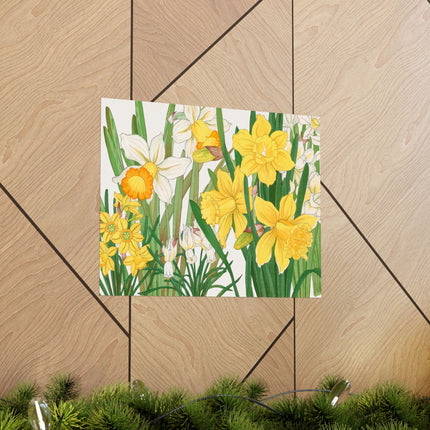Daffodil by Tanigami Kônan Premium Matte horizontal posters