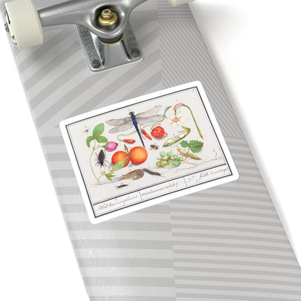Natural History Ensemble, No. 7 by Anselmus Boëtius de Boodt Kiss-Cut Stickers (4 Sizes)