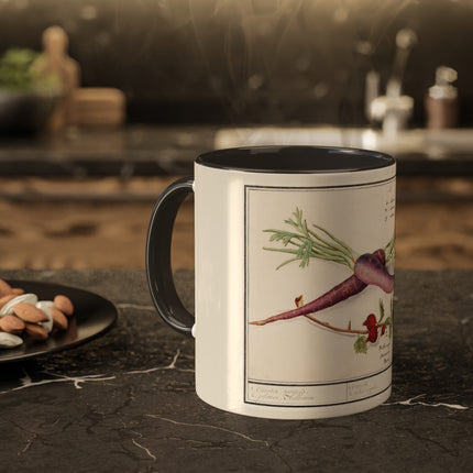 Carrot, Daucus Carota and Red currant, Ribes rubrum by Anselmus Boëtius de Boodt Colorful Mugs, 11oz