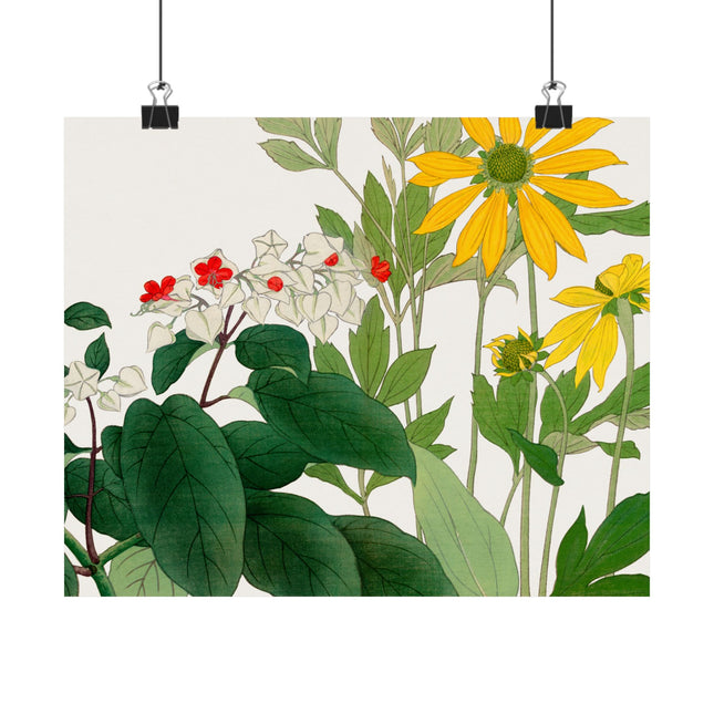 Clerodendrum & Rudbeckia by Tanigami Kônan Premium Matte Horizontal Posters