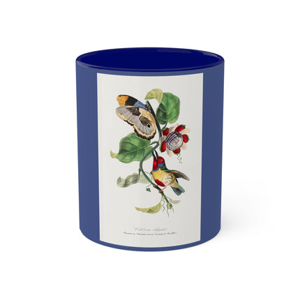 Versicolored Barbet by Paul Gervais Colorful Mugs, 11oz