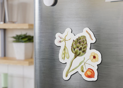 Artichoke, Broad Beans, and Lantern Plant by Anselmus Boëtius de Boodt Die-Cut Magnets (5 Sizes)