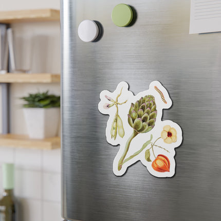 Artichoke, Broad Beans, and Lantern Plant by Anselmus Boëtius de Boodt Die-Cut Magnets (5 Sizes)