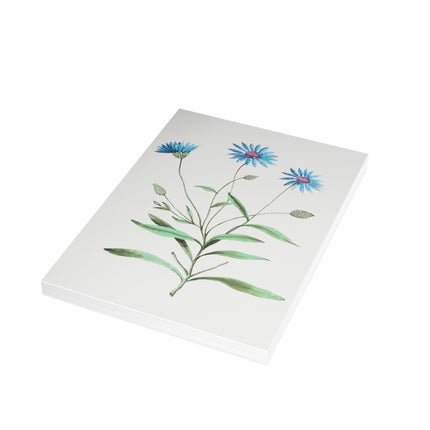 Blue Straw Flower, Catananche Caerulea by Anselmus Boëtius de Boodt Postcards (envelopes included) - Bundles of 10, 30, 50 Pieces