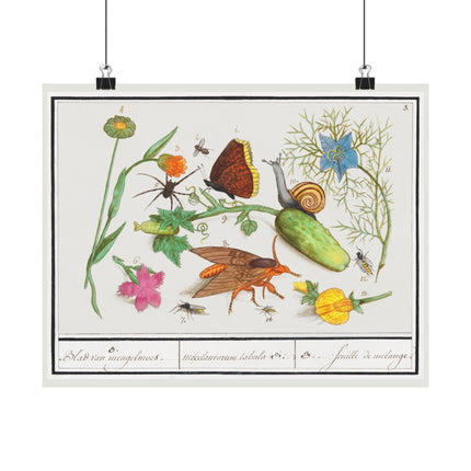 Natural History Ensemble, no. 3 by Anselmus Boëtius de Boodt Matte Horizontal Posters