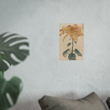 Chrysanthemum Grace Fine Art Poster
