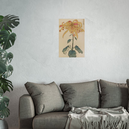 Chrysanthemum Grace Fine Art Poster