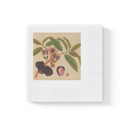Album of watercolors of Asian fruits and flowers Pl.05 by Anonymous White Coined Napkins