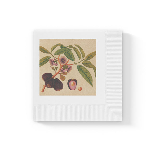 Album of watercolors of Asian fruits and flowers Pl.05 by Anonymous White Coined Napkins