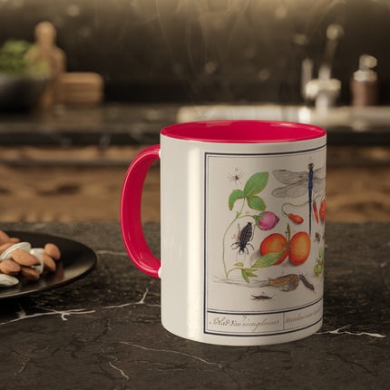 Natural History Ensemble, No. 7 by Anselmus Boëtius de Boodt Colorful Mugs, 11oz