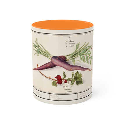 Carrot, Daucus Carota and Red currant, Ribes rubrum by Anselmus Boëtius de Boodt Colorful Mugs, 11oz