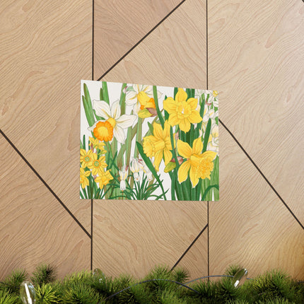 Daffodil by Tanigami Kônan Premium Matte horizontal posters