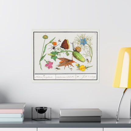 Natural History Ensemble, no. 3 by Anselmus Boëtius de Boodt Matte Horizontal Posters