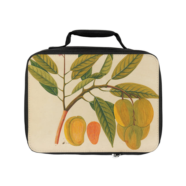 Album of watercolors of Asian fruits and flowers Pl.21 by Anonymous Lunch Bag
