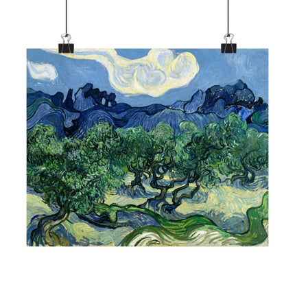Olive Trees by Vincent Van Gogh Matte Horizontal Posters