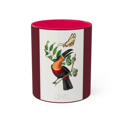 Channel Billed Toucan by Paul Gervais Colorful Mugs, 11oz