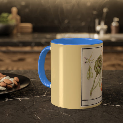 Artichoke, Broad Beans, and Lantern Plant by Anselmus Boëtius de Boodt Colorful Mugs, 11oz