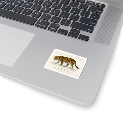 Jaguar by Charles Dessalines D' Orbigny Kiss-Cut Stickers (4 Sizes)