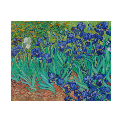 Irises by Vincent Van Gogh Matte Canvas, Stretched, 0.75"