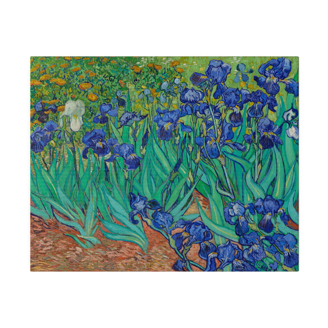 Irises by Vincent Van Gogh Matte Canvas, Stretched, 0.75"