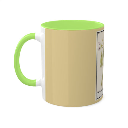 Artichoke, Broad Beans, and Lantern Plant by Anselmus Boëtius de Boodt Colorful Mugs, 11oz