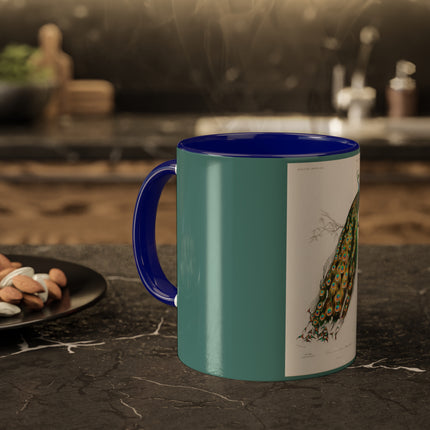 Indian Peafowl by Charles Dessalines D' Orbigny Colorful Mugs, 11oz