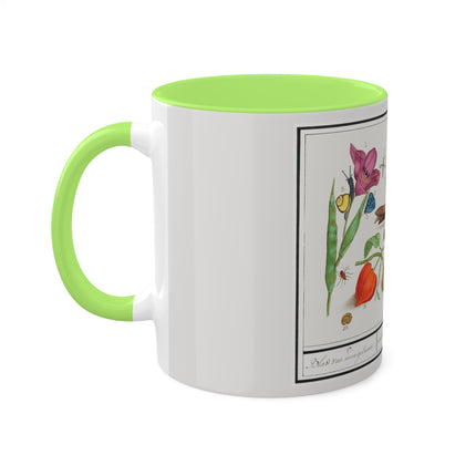 Natural History Ensemble, No. 17 by Anselmus Boëtius de Boodt Colorful Mugs, 11oz