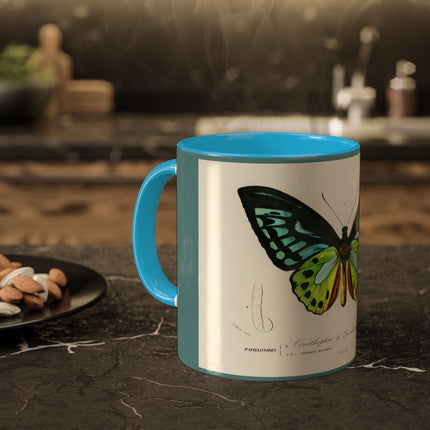 Green Birdwing by Charles Dessalines D' Orbigny Colorful Mugs, 11oz