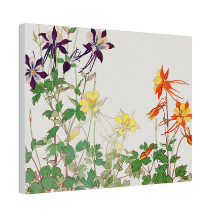Aquilegia Flower by Tanigami Kônan – Japanese Botanical Art