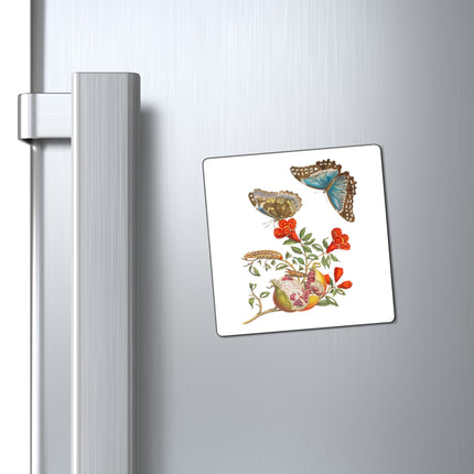 Blue Butterflies and Pomegranate by Maria Sibylla Merian Magnets (3 Sizes)