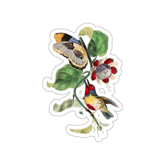 Versicolored Barbet by Paul Gervais Kiss-Cut Stickers (4 Sizes)