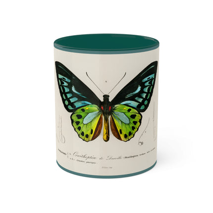 Green Birdwing by Charles Dessalines D' Orbigny Colorful Mugs, 11oz