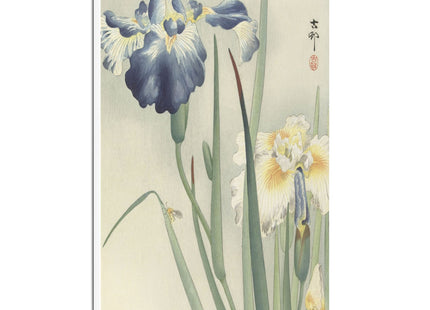 Irises by Ohara Koson Matte Canvas, Stretched, 0.75"