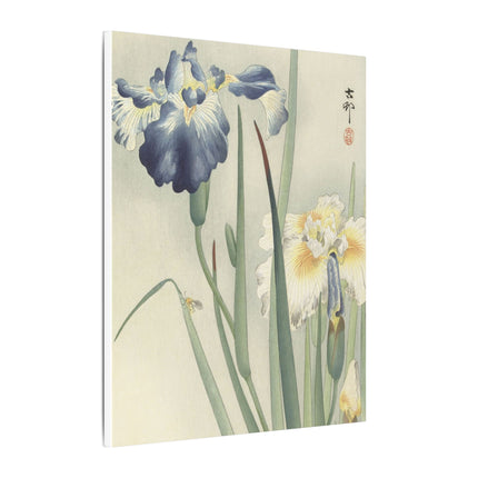 Irises in Bloom by Ohara Koson – Japanese Elegance