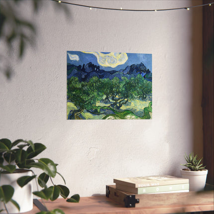 Olive Trees by Vincent Van Gogh Matte Horizontal Posters