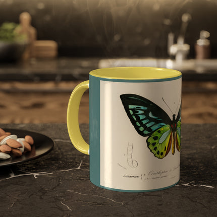 Green Birdwing by Charles Dessalines D' Orbigny Colorful Mugs, 11oz